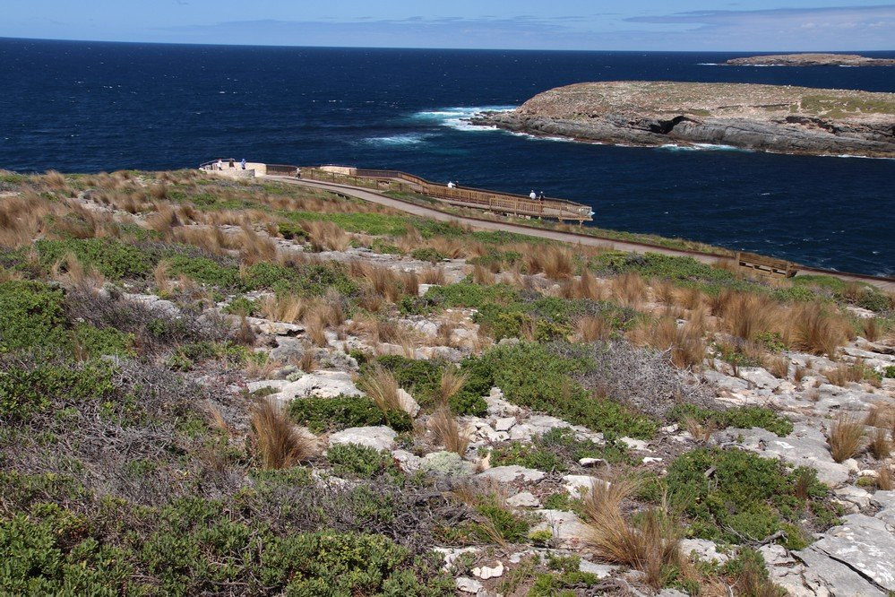 kangaroo island Admiral Arch景点图片