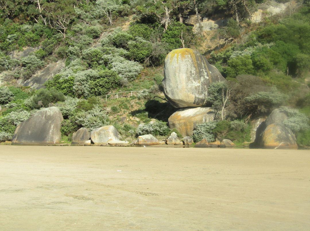 Whale Rock-威尔逊岬国家公园必去景点