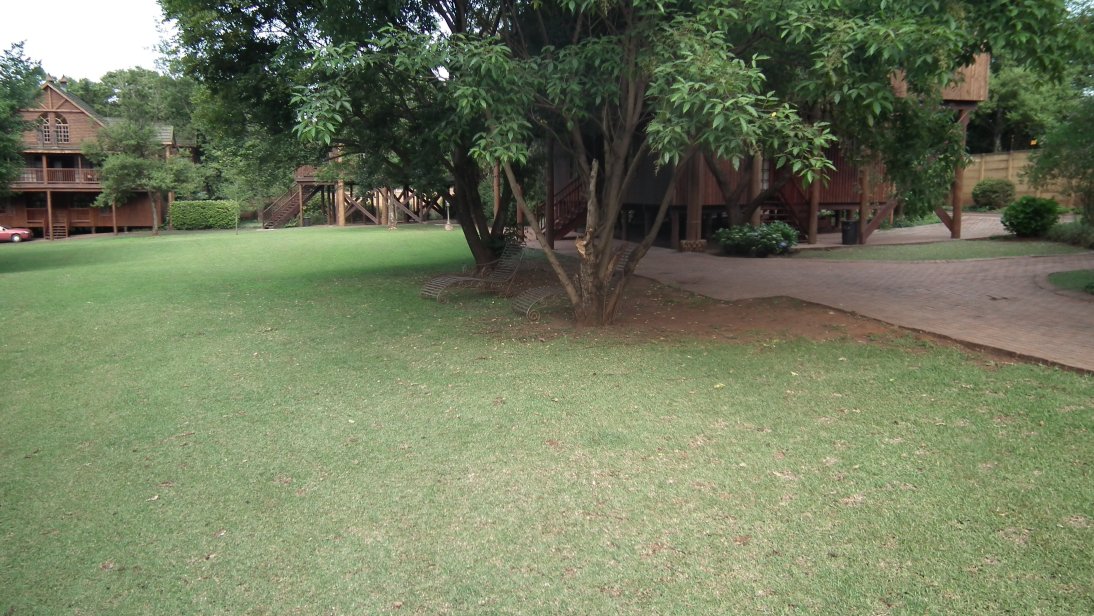 Ligna Lodge-酒店景观