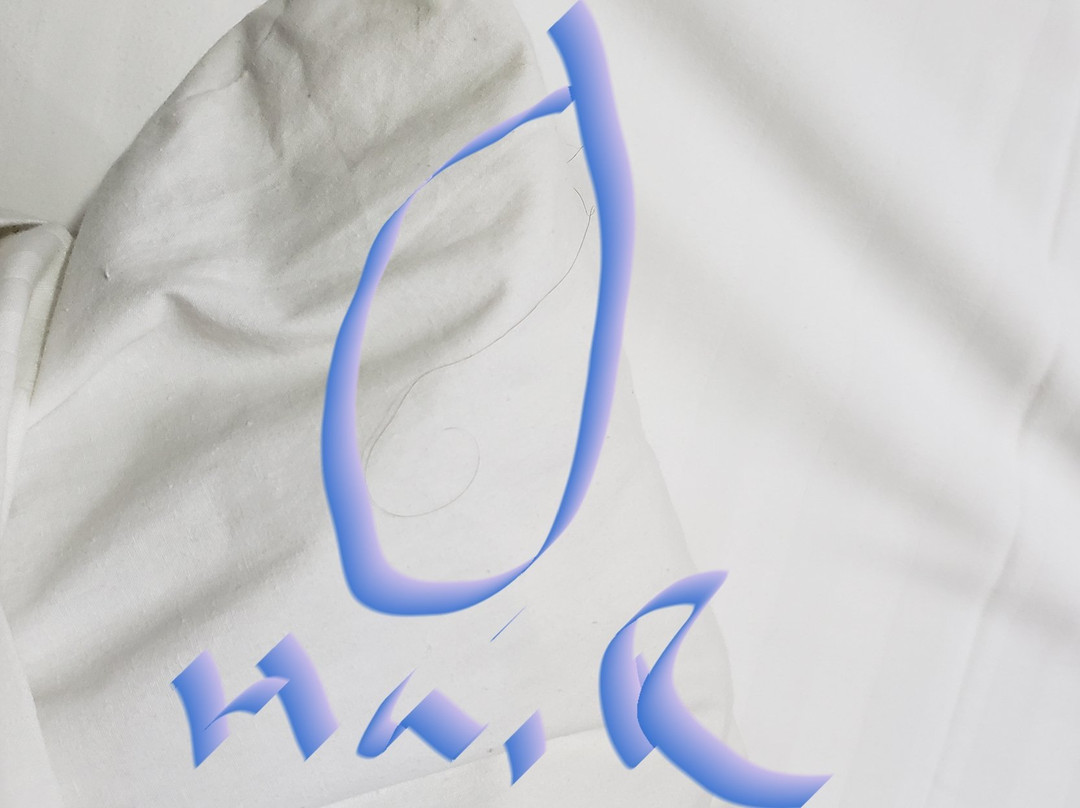 Hangar Inn Guadalajara Aeropuerto主图