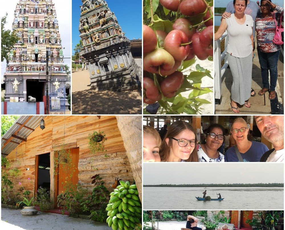 Mala's Homestay主图