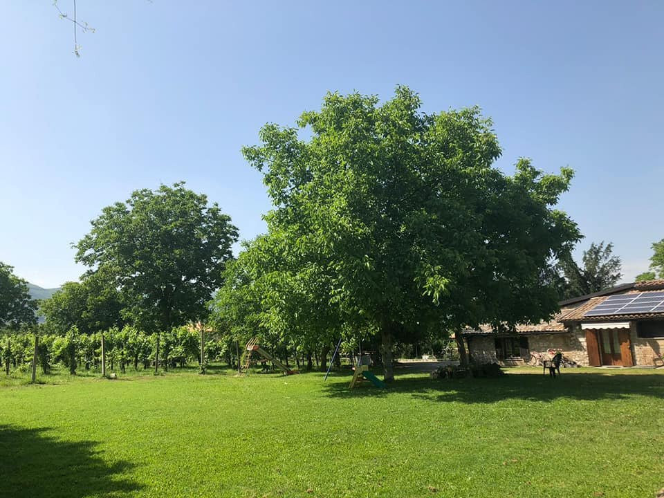 Agriturismo La Petrosa - Forino (AV)主图