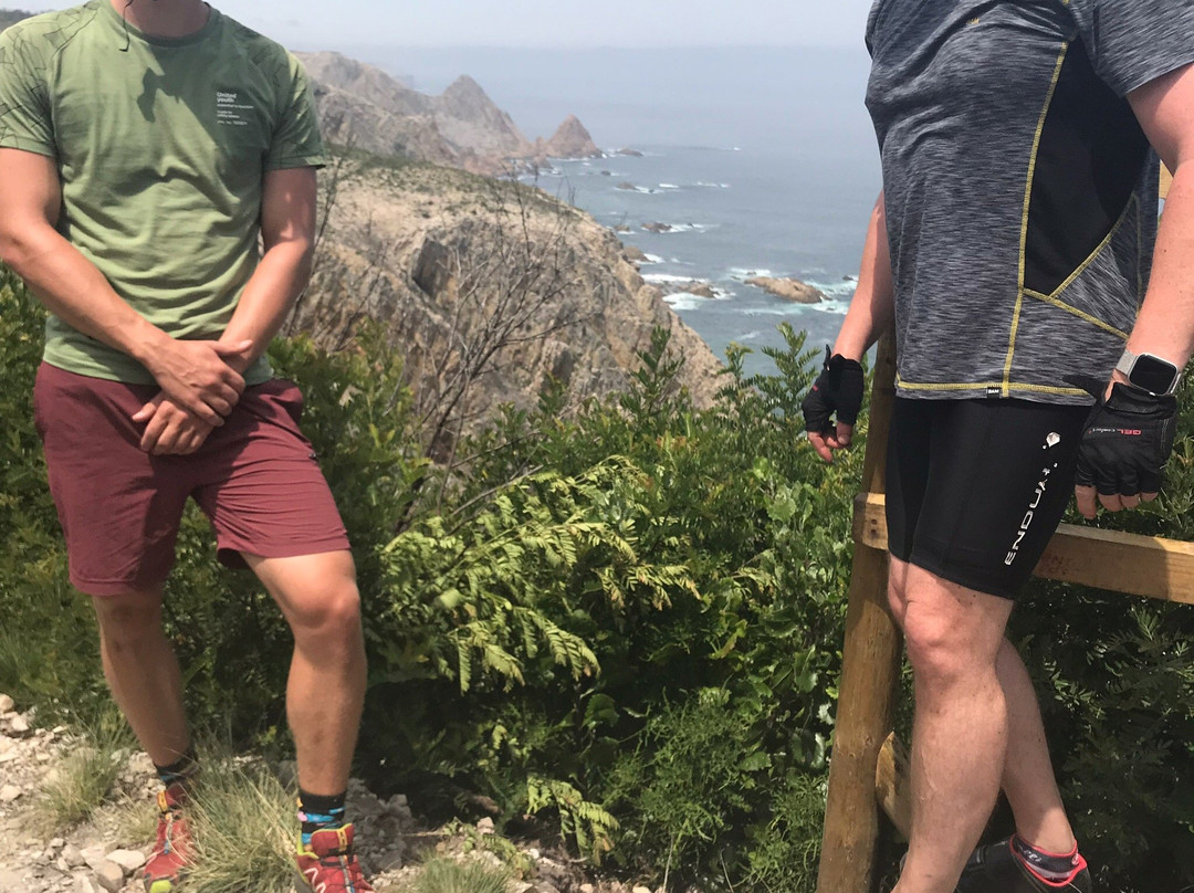 Harkerville Mountain Bike Trails-哈克城必去景点