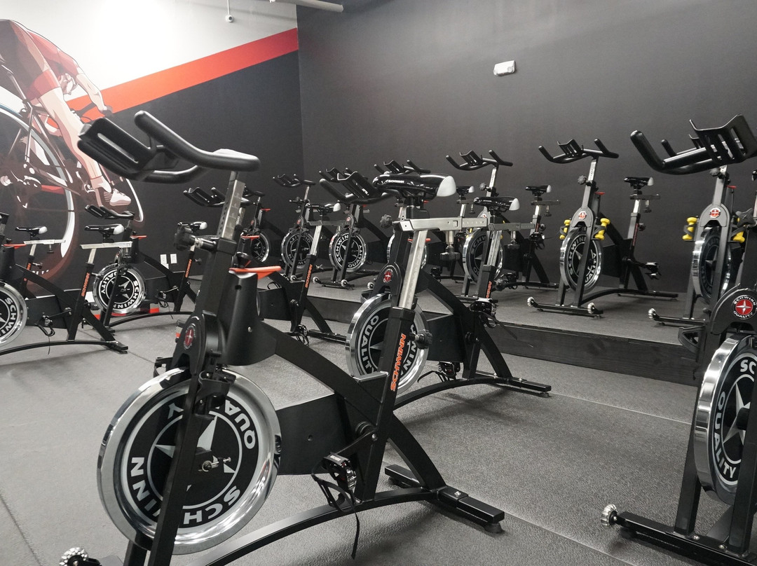 Winners Training Center Sunny Isles Beach-阳光岛海滩必去景点