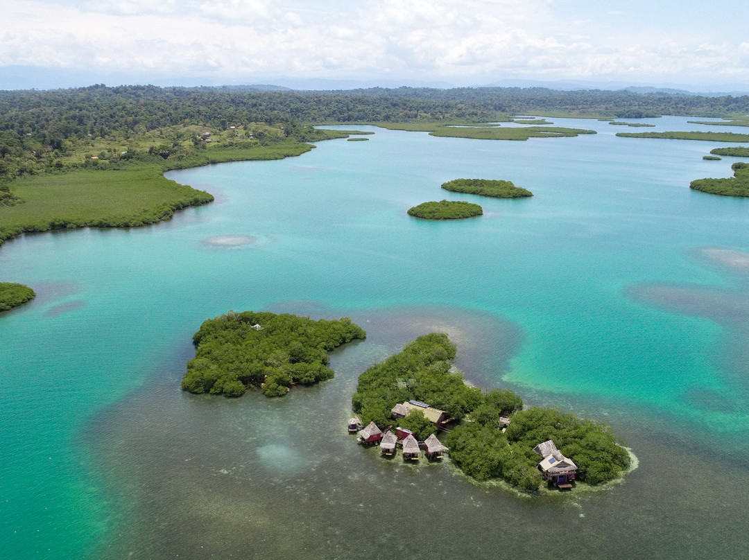 Monkey Island Bocas景点图片