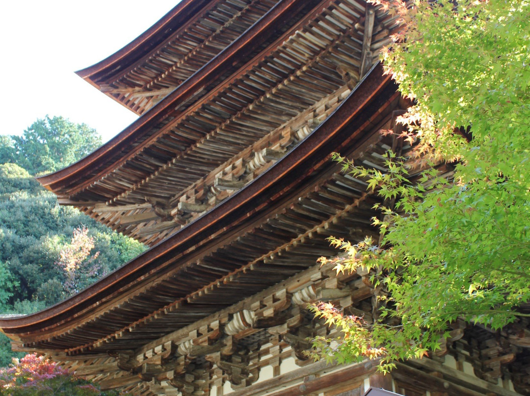 Saimyo-ji Temple 3 Storey Tower