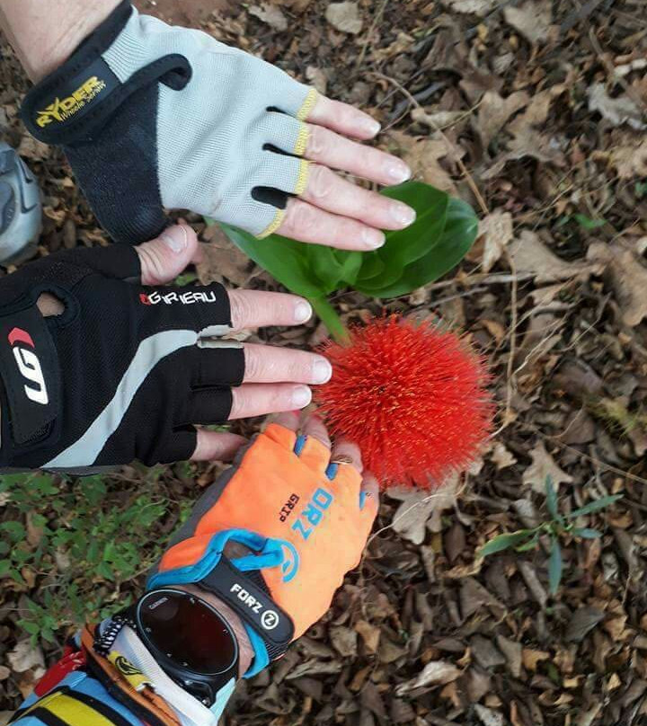 Hennops Mountain Bike Trail-比勒陀利亚必去景点