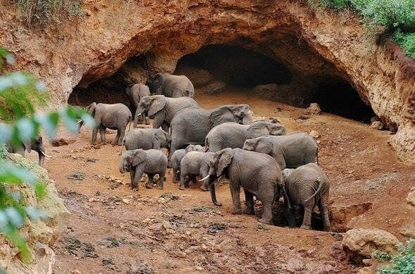 Elephant Caves景点图片