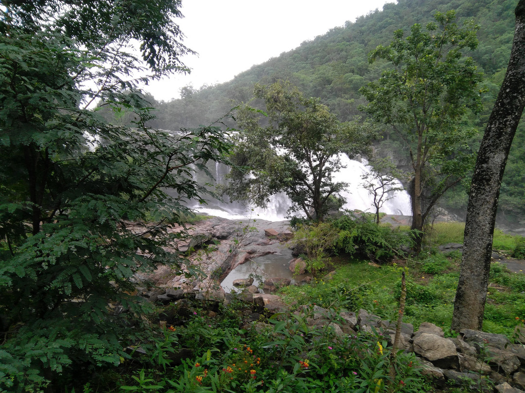 Thoovanam Falls景点图片