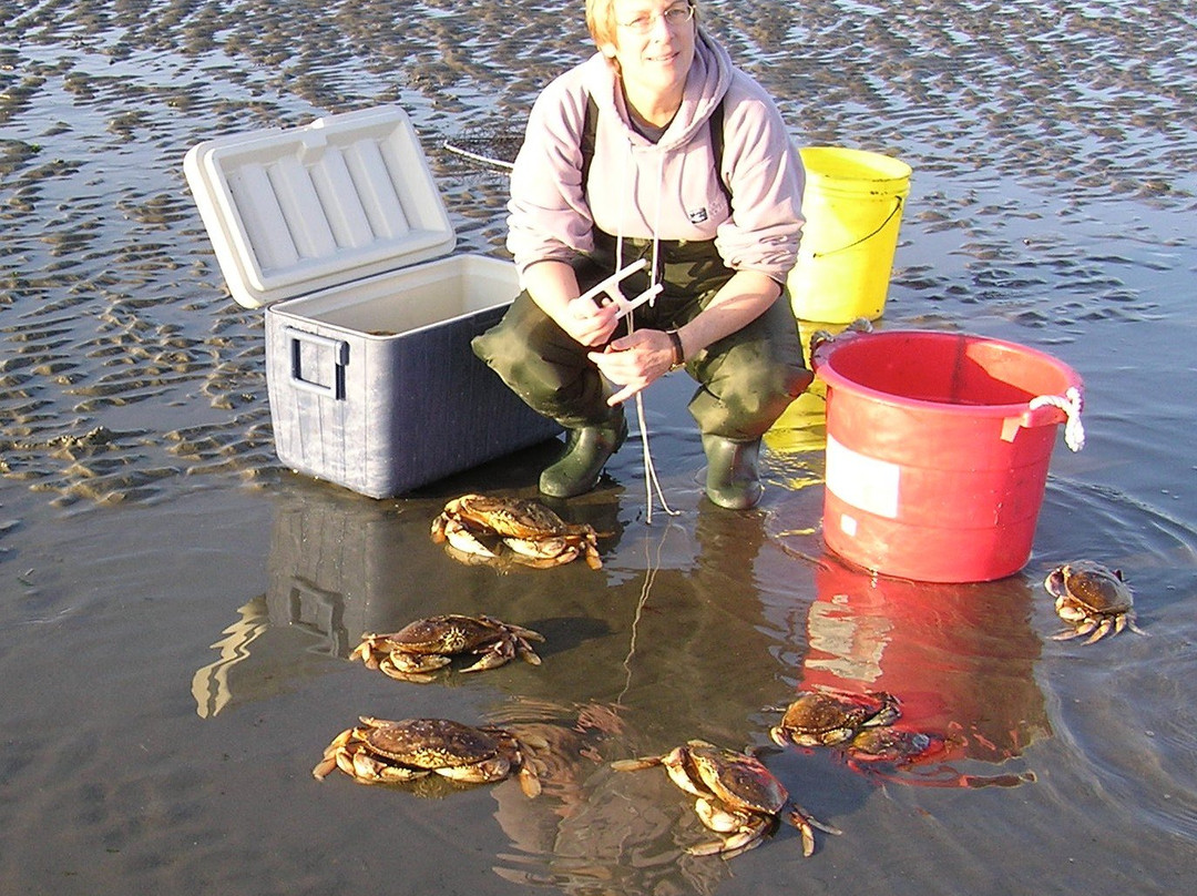 Serenity Now! Bed and Breakfast主图