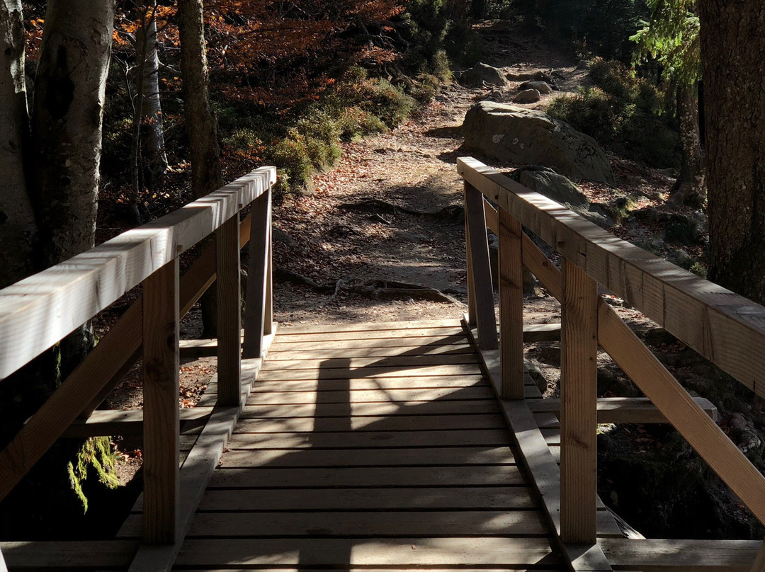 Premiumwanderweg-菲尔德山必去景点