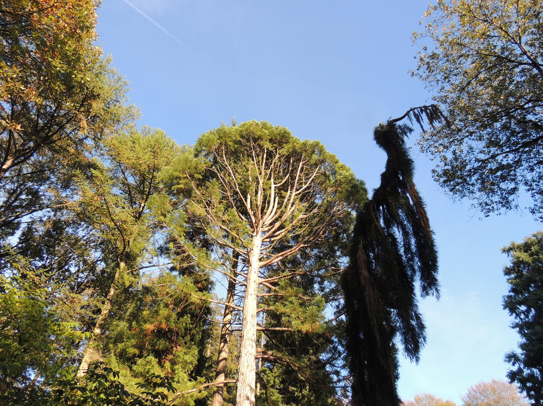 Sequoiafarm景点图片