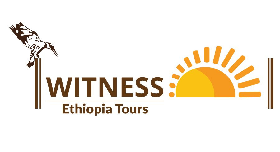 Witness Ethiopia Tours景点图片