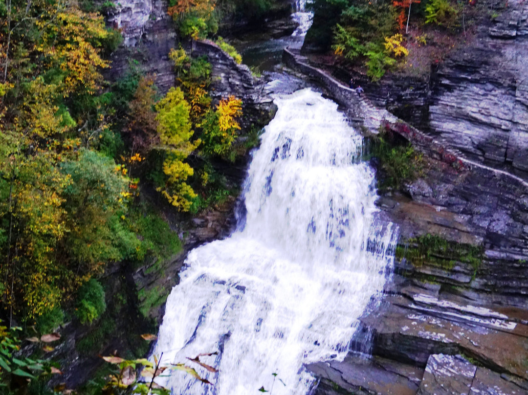 Robert Treman State Park景点图片