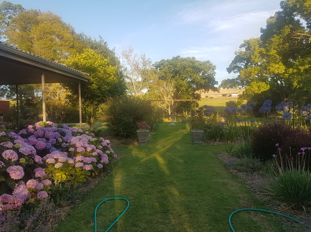 Lalani Bed & Breakfast主图