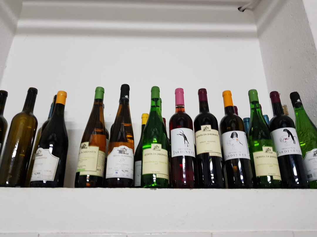 Fenais da Luz旅游景点-Quinta da Jardinete Vineyard