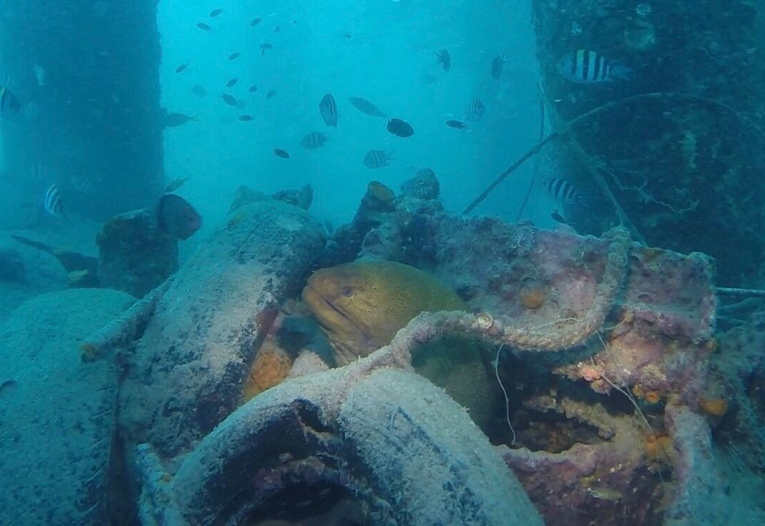 Malaysia Dive Team-刁曼岛必去景点