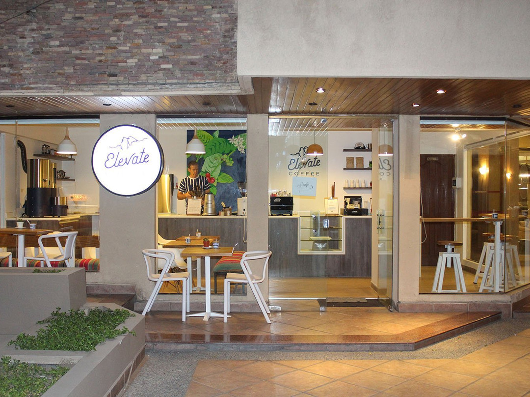 Elevate Coffee Bolivia