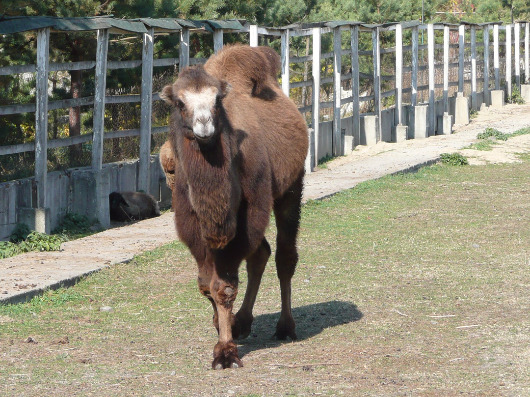 Vinnytsya Zoo-Vinnytsia必去景点