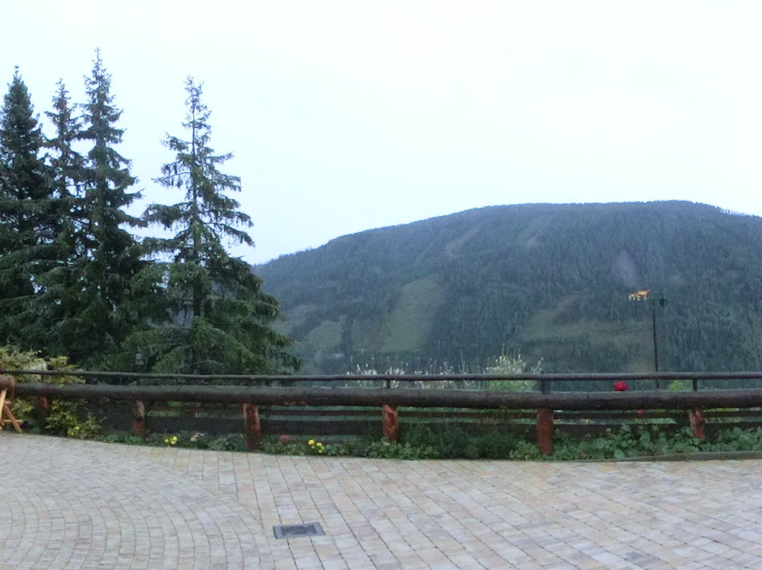 阿尔姆多尔夫瑟尼尔泽特酒店主图