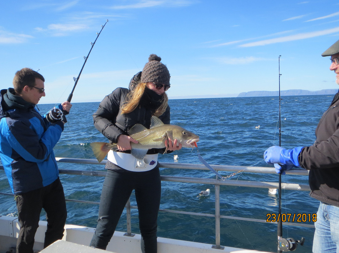 Amazing Westfjords-伊萨菲厄泽必去景点