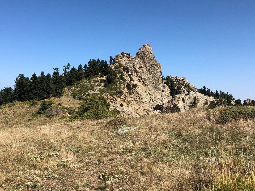 Ziakas Mansion主图