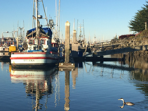 Eureka Visitor Center-尤里卡必去景点