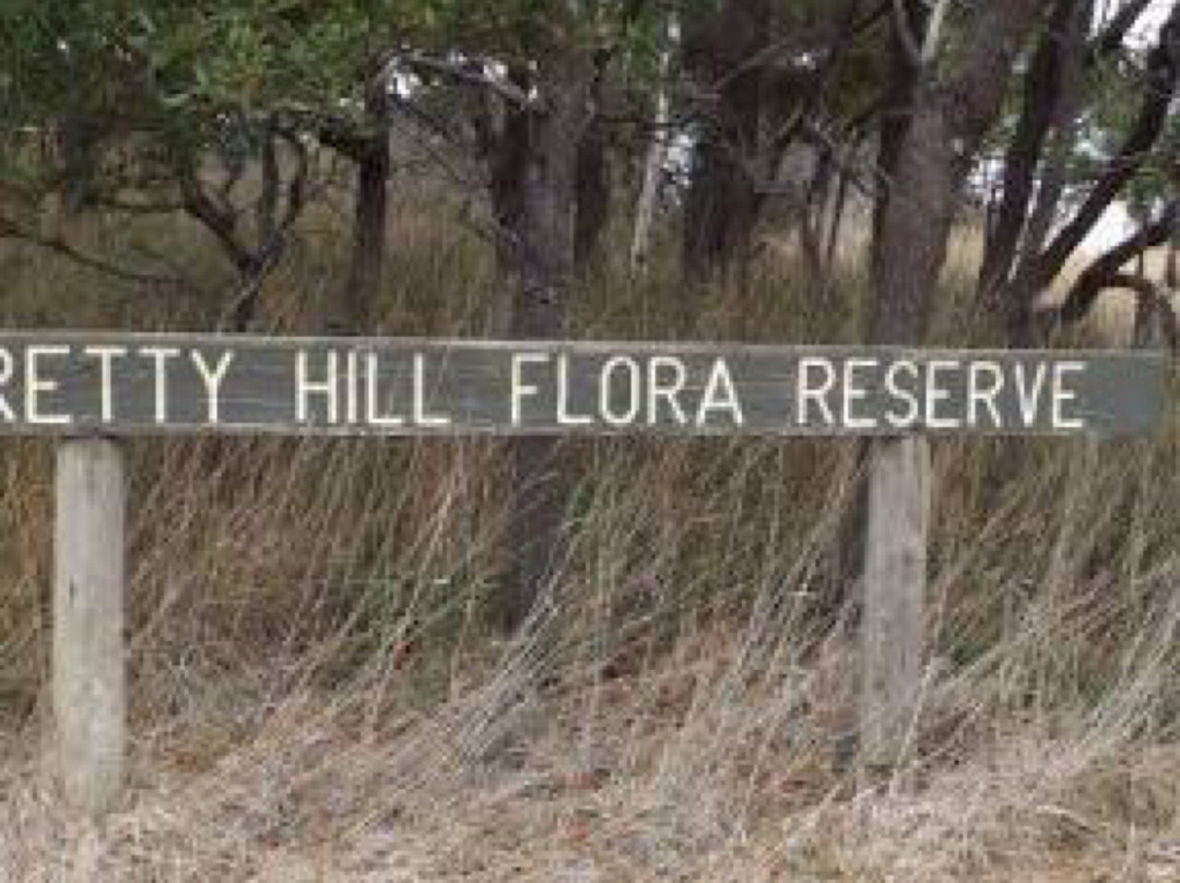 Pretty Hill Reserve-Kangaroo Ground必去景点