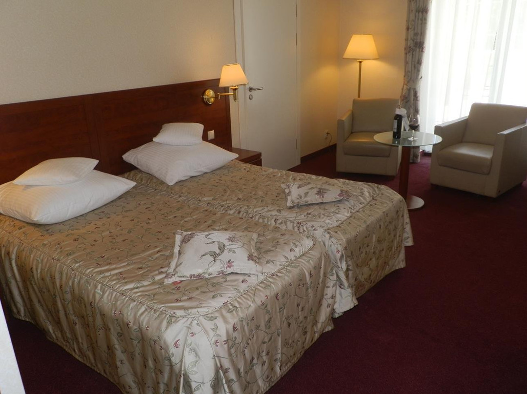 Willa Alexander Resort & SPA主图