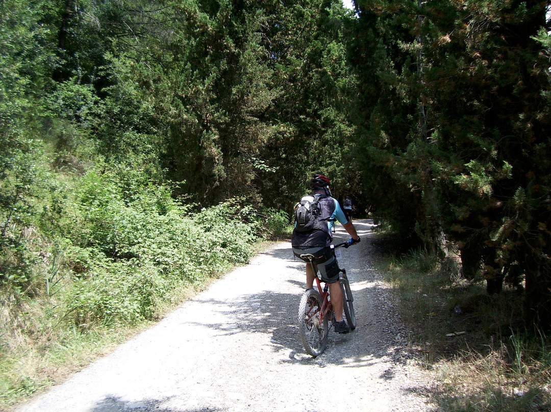 Tuscanybiking景点图片