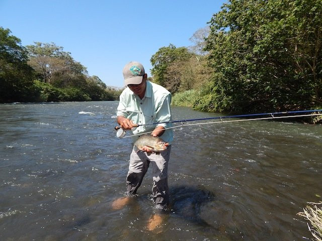 Fly Fish in Costa Rica-圣何塞必去景点