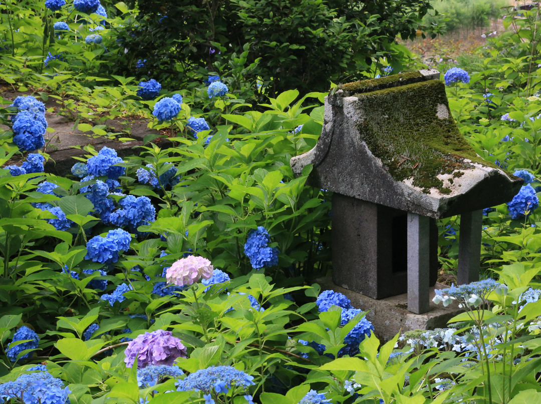 Ajisaidera Kogen-in Temple-饭山市必去景点