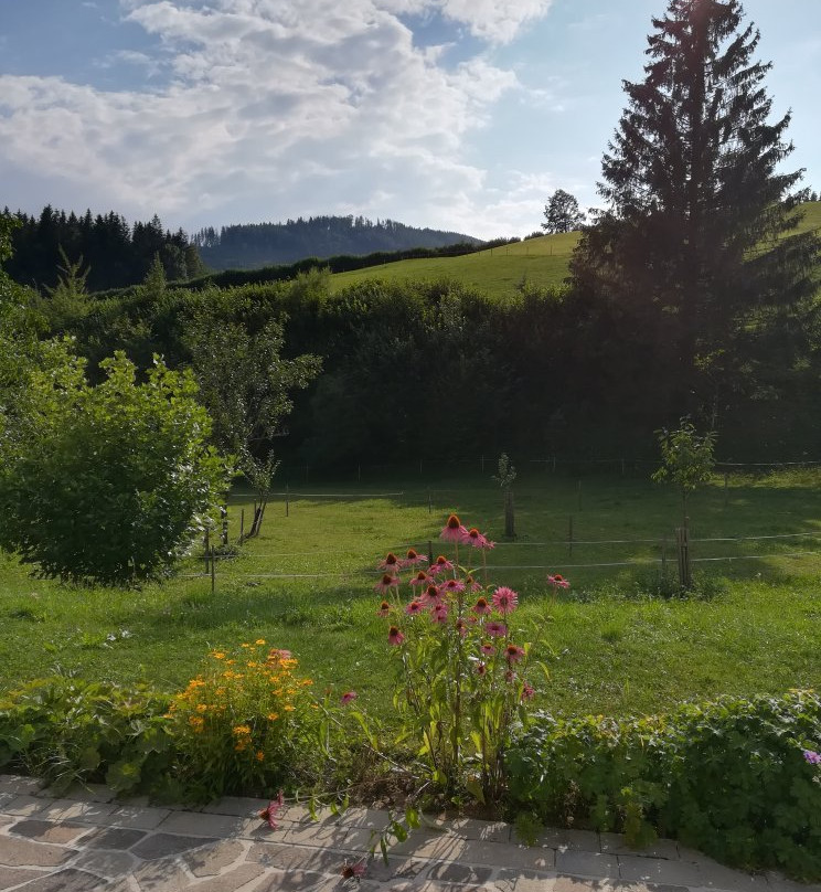 Lunzer See-Lunz am See必去景点