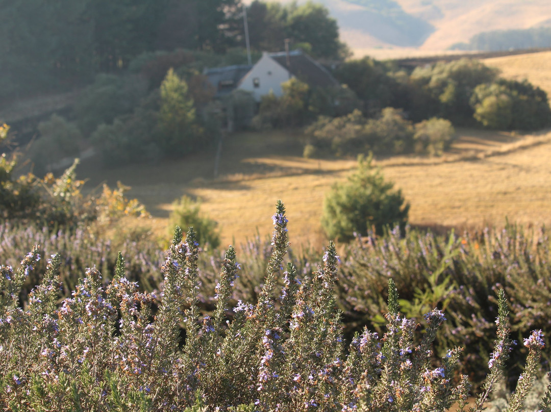 Indigo Fields Farm House and Spa主图