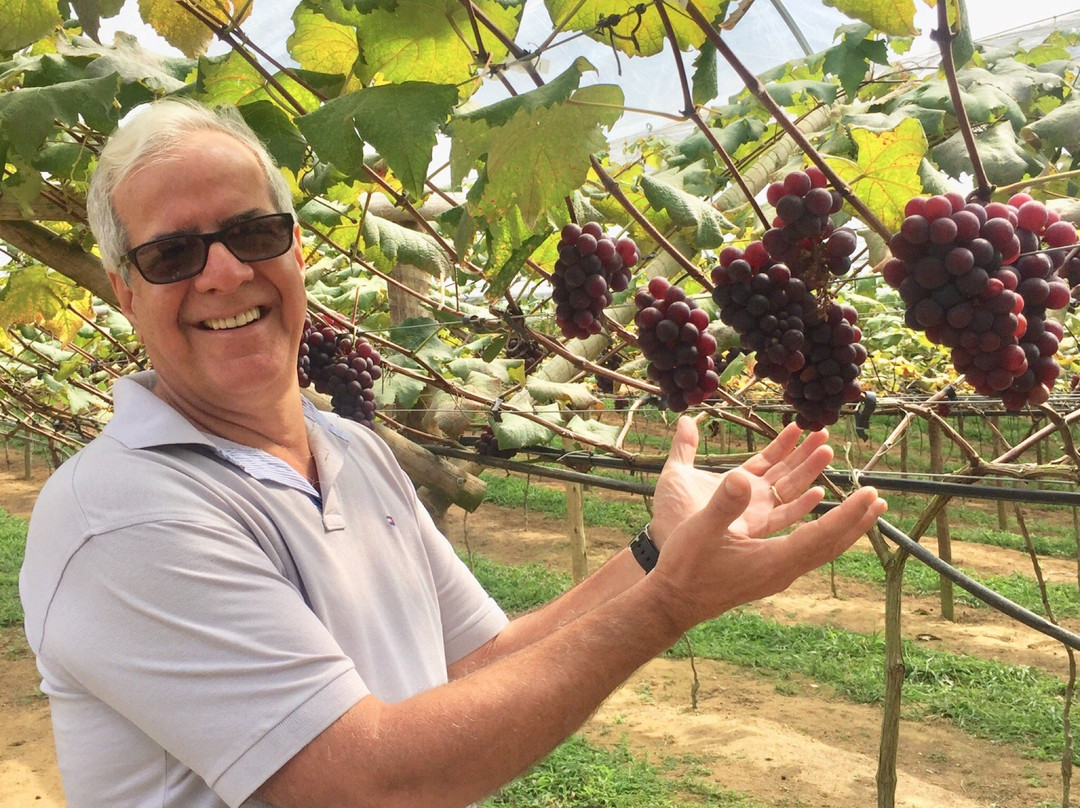Sitio Mata Verde-Santa Maria De Jetiba必去景点