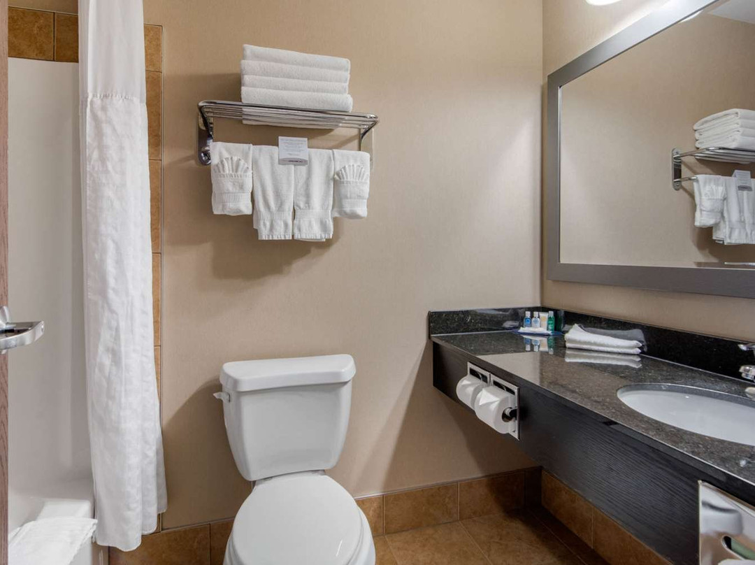 Comfort Inn & Suites主图