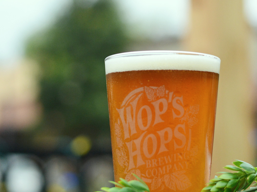 Wops' Hops Brewing Company-桑福德必去景点