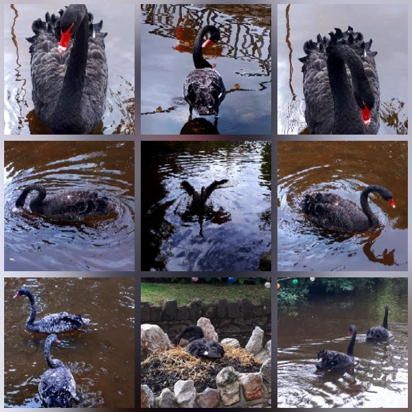 RCH - Bridge House主图