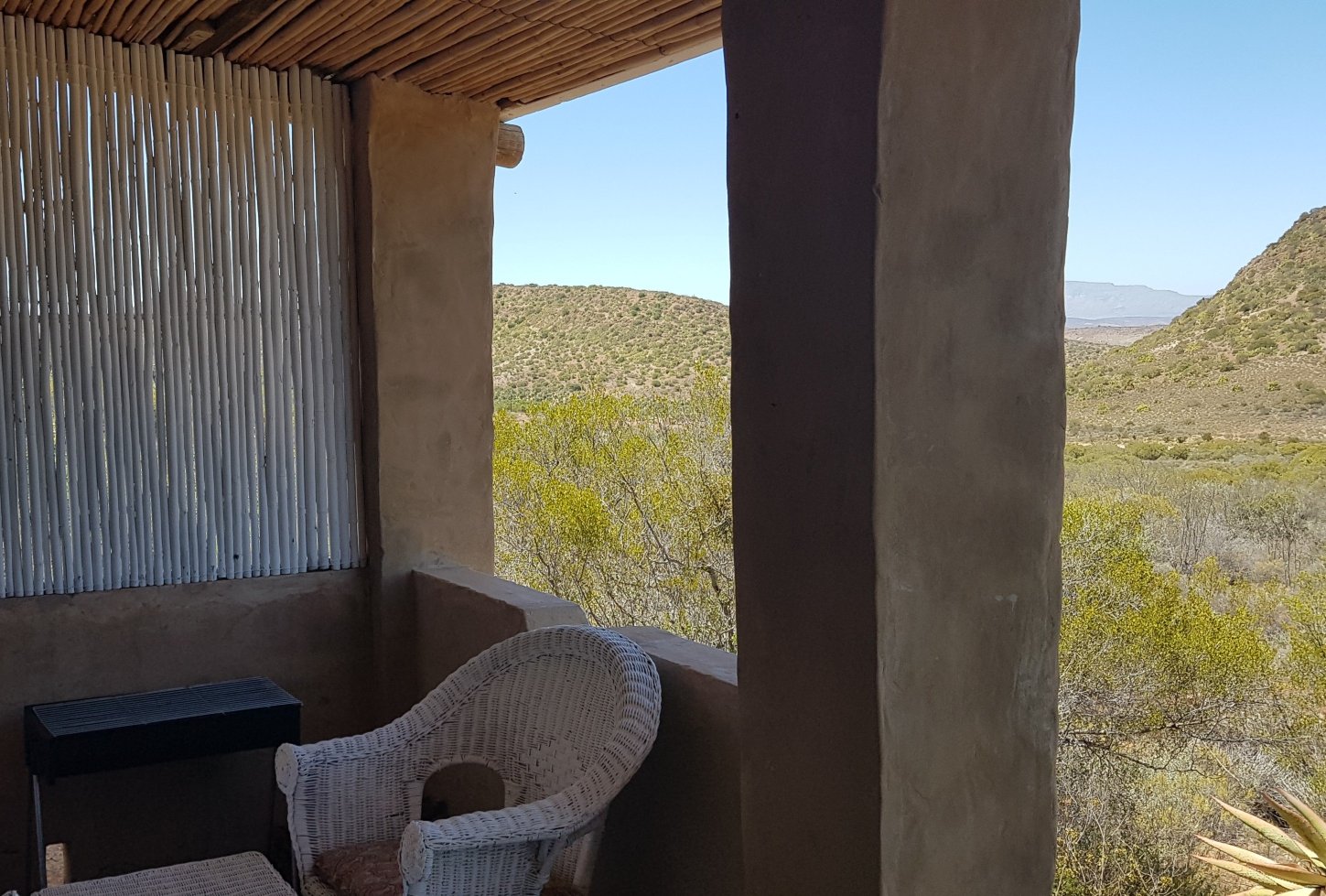 Ricky's Drift-酒店景观