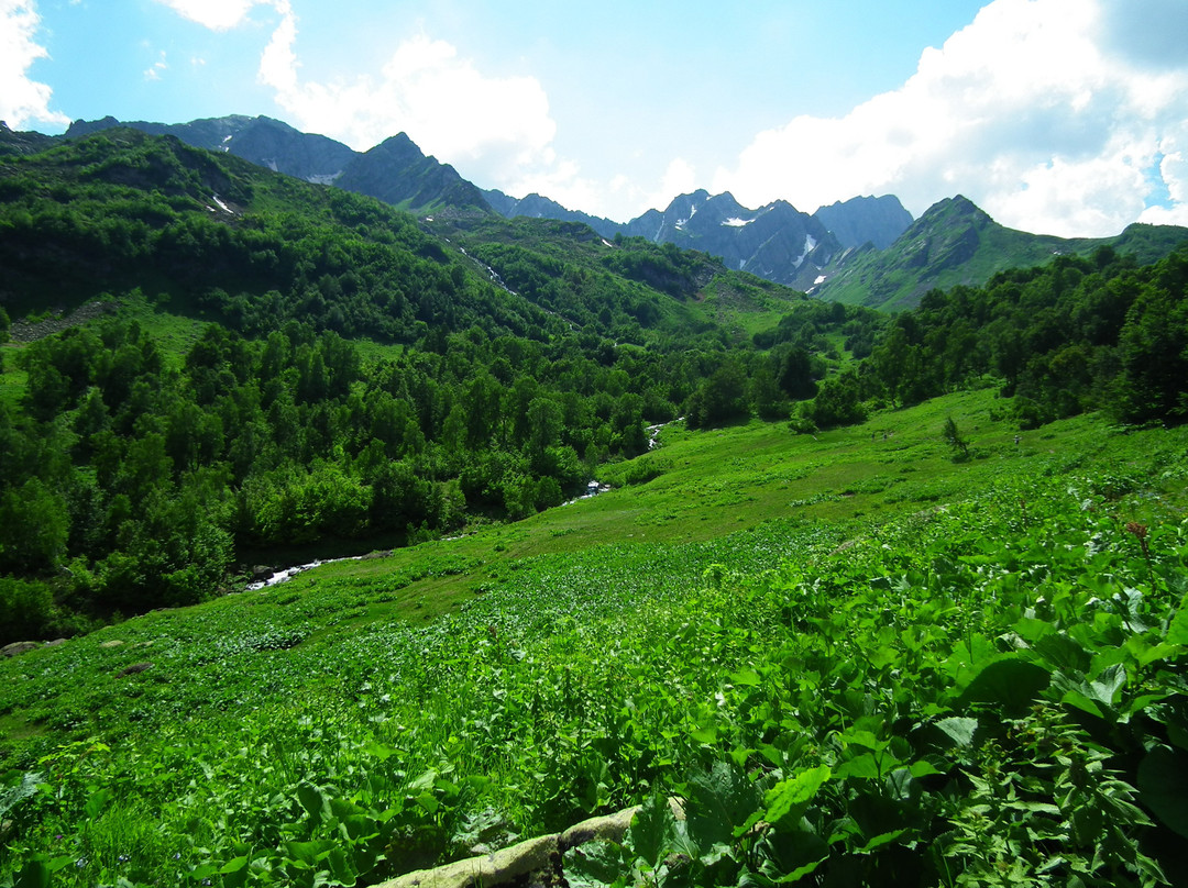 Lake Mzi景点图片