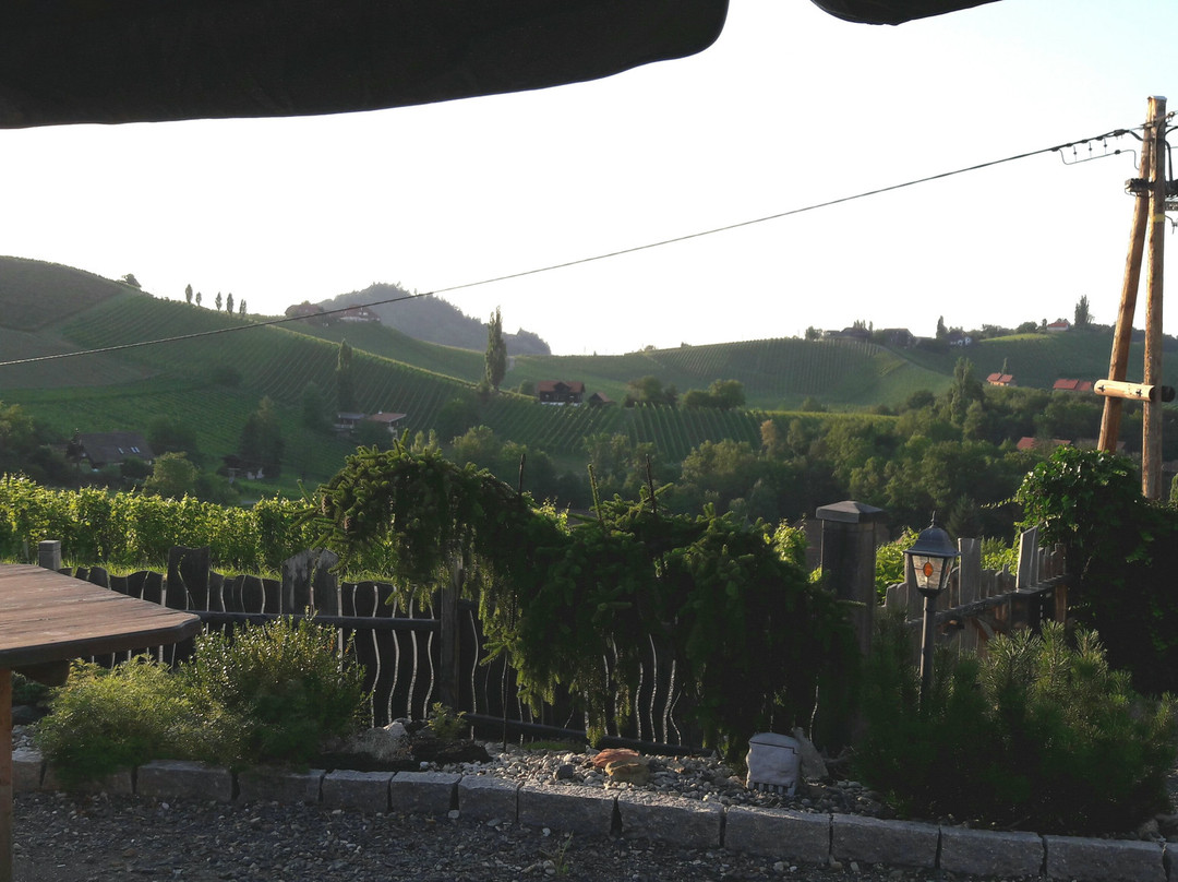 Ratsch an der Weinstrasse餐馆和美食-Weinbau und Buschenschank Hofmann