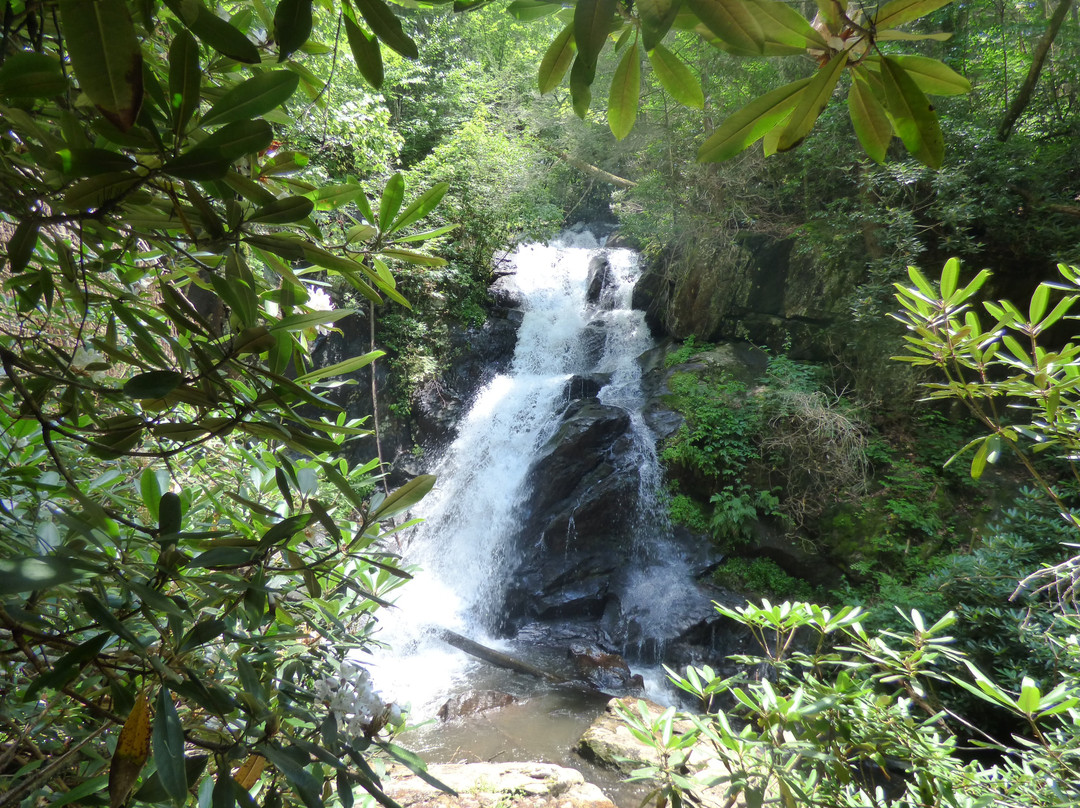 Little Rock Creek Falls景点图片