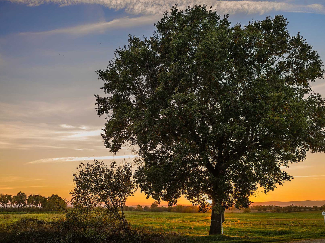 Cymon Taylor Photographer-圣奎里科多尔恰必去景点