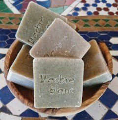 Domaine de l'Arbre Blanc景点图片