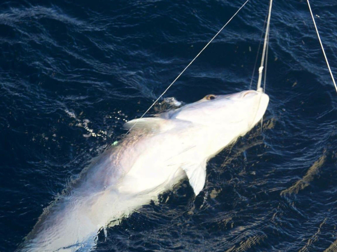 Keen as Fish-Marion Bay必去景点