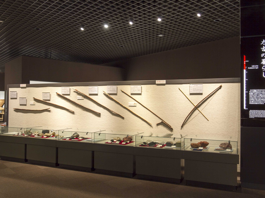 Tochigi Prefectural Museum景点图片