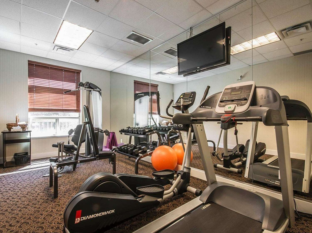 Comfort Inn & Suites Surrey主图