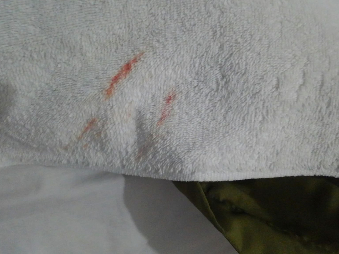 海沃德品质酒店主图