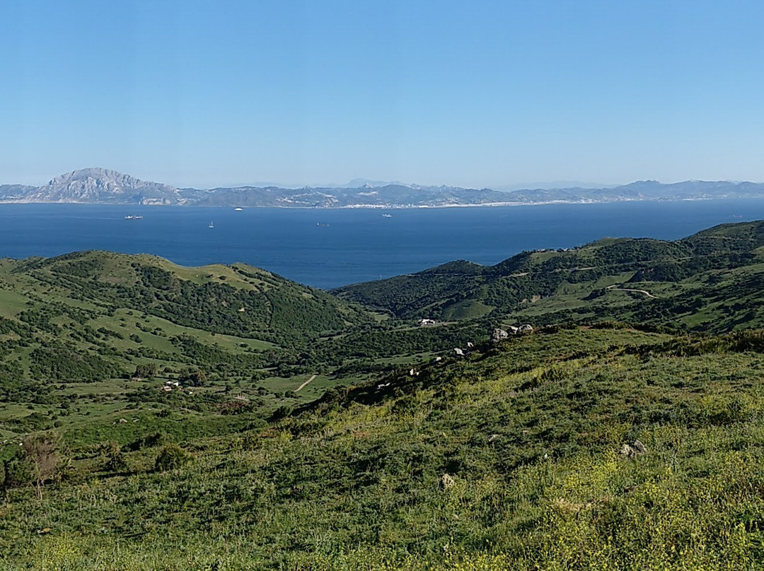 Chicken Loop Kite Club-塔里法必去景点
