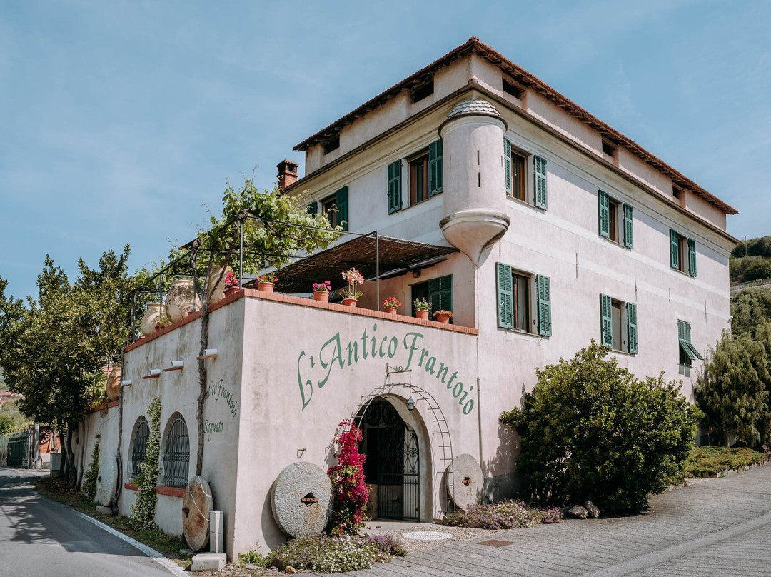 L’Antico Frantoio di Stefano Saguato